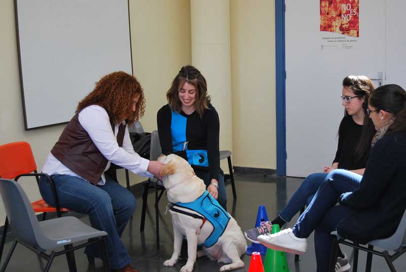 CuranDOG, un equipo de perros ‘terapeutas’ para tratar las adicciones