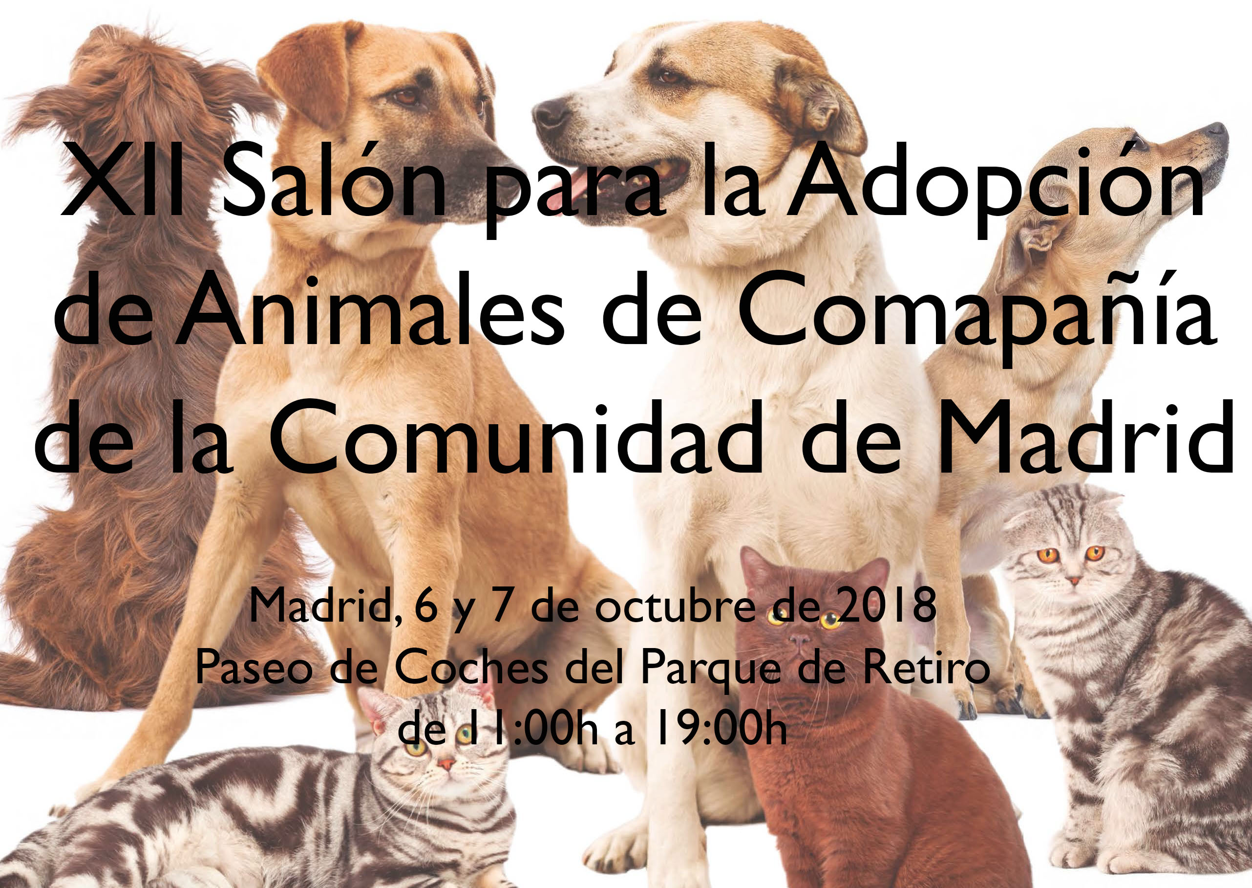 Madrid Salud participa en el XIII Salón para la Adopción de Animales de Compañía