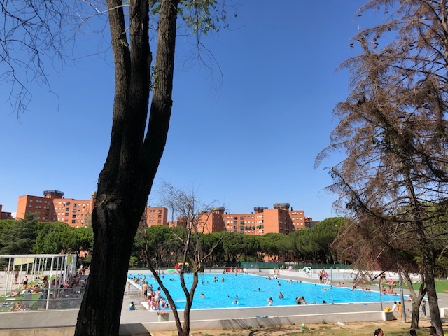 Actividad comunitaria “Verano saludable” en la piscina municipal de San Blas. Agosto 2019