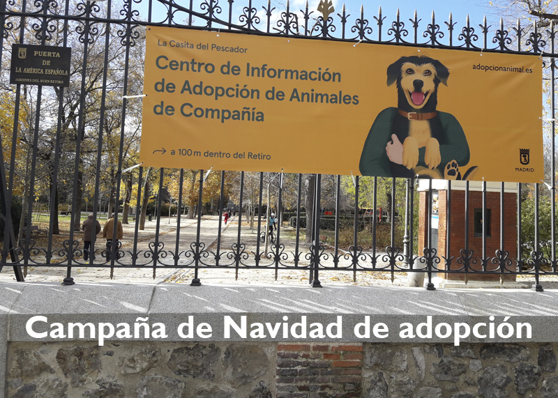 Campaña de Navidad de Madrid Salud y Voluntarios x Madrid para adoptar un animal de compañía