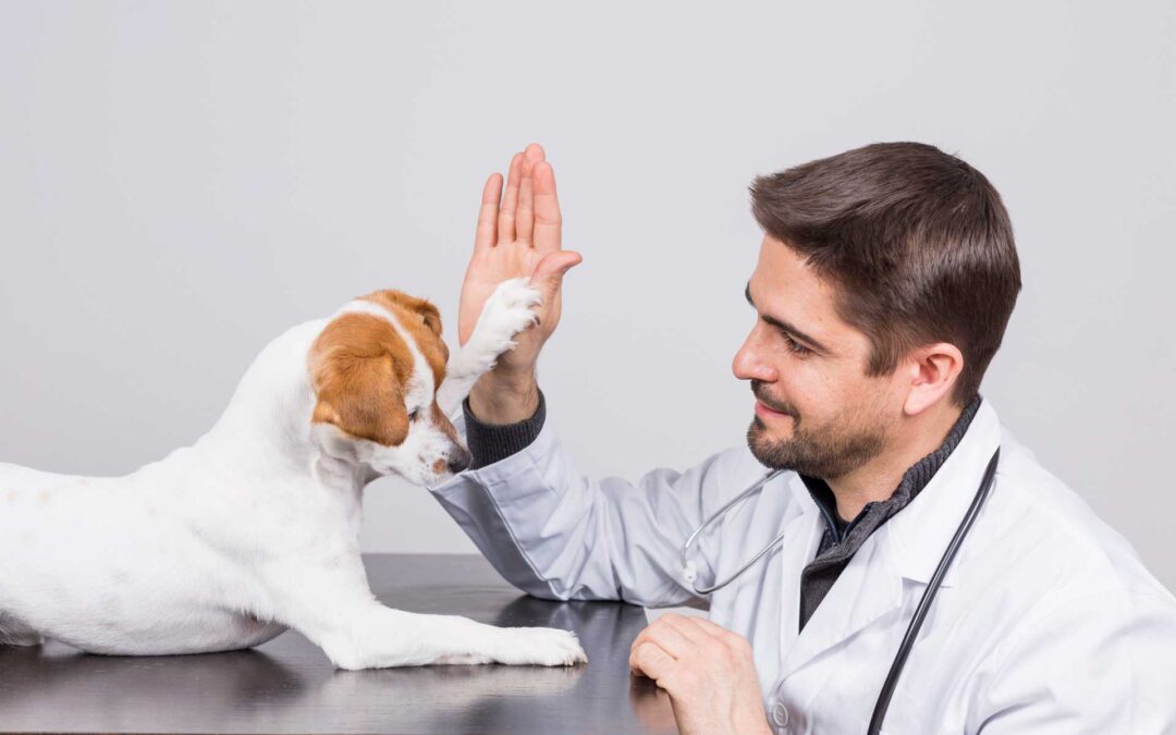 Convenio con clínicas veterinarias