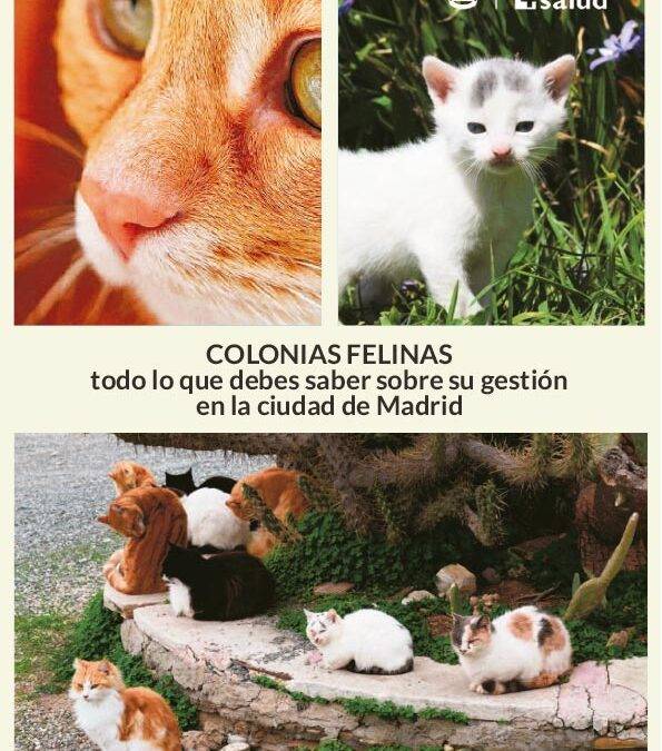 Gestión de Colonias Felinas en la ciudad de Madrid