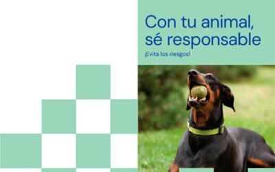 Con tu animal, sé responsable. Evita los riesgos