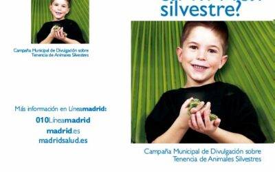 ¿Sabe cómo atender a un animal silvestre?