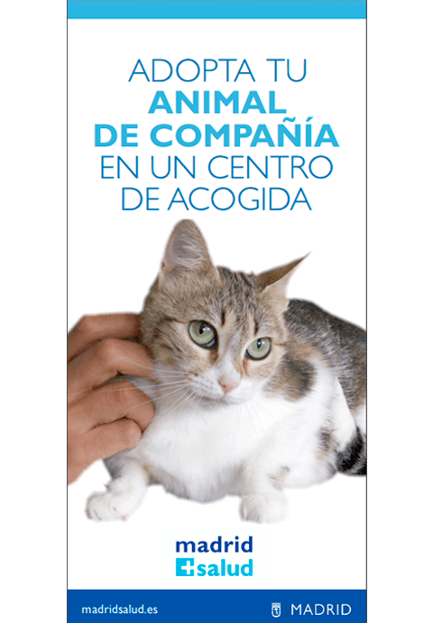 Adopta tu animal de compañía en un centro de acogida (gato)