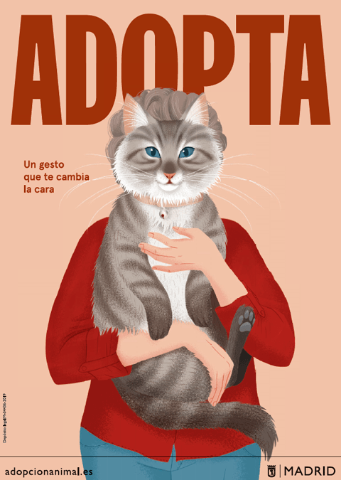 Adopta un gato. Cartel