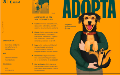 Adopta un perro. Desplegable