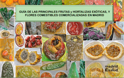 Guía de las principales frutas y hortalizas exóticas y flores comestibles comercializadas en Madrid