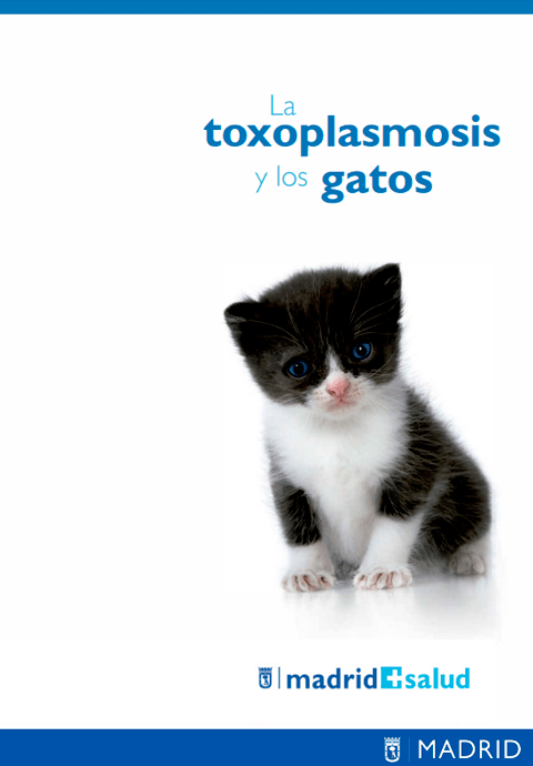 Tríptico La toxoplasmosis y los gatos