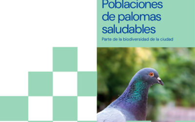 Poblaciones de palomas saludables. Parte de la biodiversidad de la ciudad