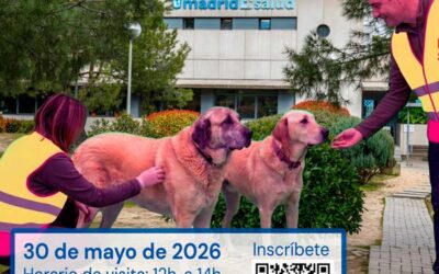 Jornada de puertas abiertas en el Centro de Protección Animal. Voluntarios por Madrid