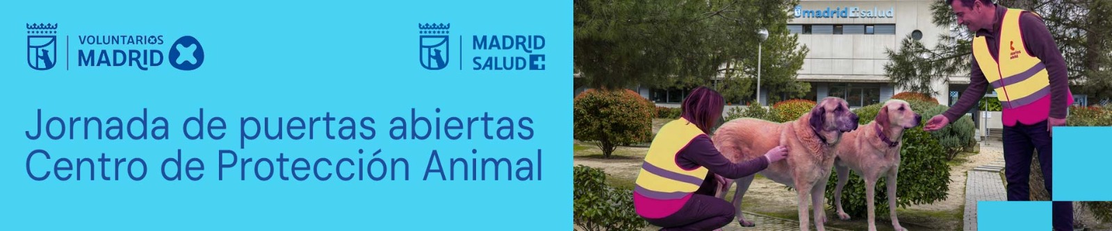 Banner Jornada proyecto JALUS