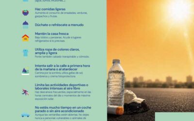 Decálogo de medidas para hacer frente al calor