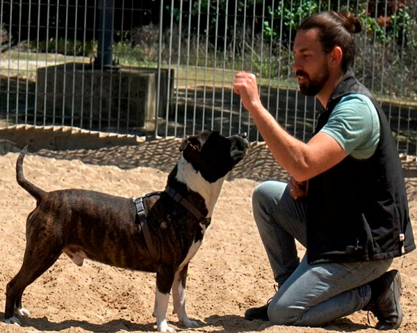 banner_home_educanina